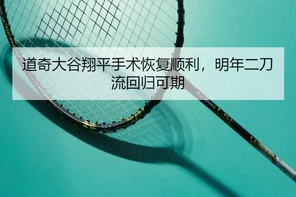 dao-qi-da-gu-xiang-ping-shou-shu-hui-fu-shun-li-ming-nian-er-dao-liu-hui-gui-ke-qi-3-496.jpg