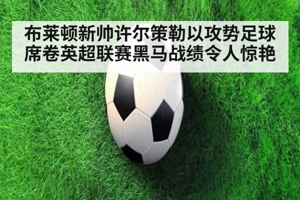 布莱顿新帅许尔策勒以攻势足球席卷英超联赛黑马战绩令人惊艳